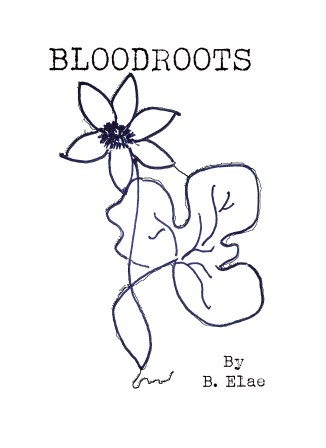 BloodrootsFrontCoverFinal