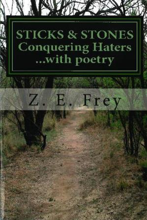 SticksStonesPicuntitled web